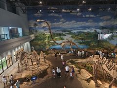 -自贡恐龙博物馆