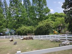 -白马涧龙池景区
