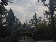 -太湖湖滨国家湿地公园-停车场