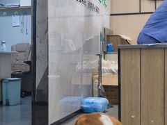 -半岛宠物医院24小时(科华中路店)