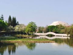 -映月湖公园