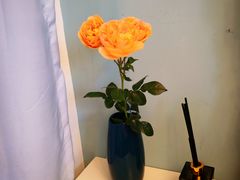 -循礼门鲜花花市(武汉循礼门店)