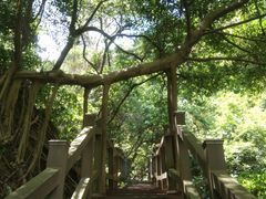 -羚羊峡古栈道森林公园