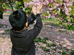 -石家庄市植物园
