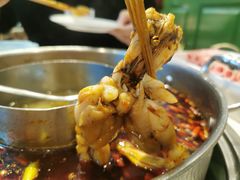 -蛙两只美蛙鱼头火锅(恒茂店)
