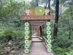 -大岭沟猕猴桃谷风景区