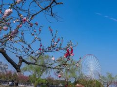 -无锡蠡湖国家湿地公园-蠡园