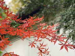 -汇龙潭
