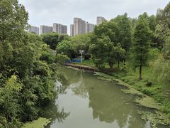 -八大山人梅湖景区