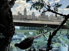 -俏江南-江景昆曲主题餐厅(正大广场店)