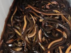 -岳各庄批发市场(西四环中路店)