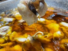 -雲蜀龙阁·金牌水煮鱼(方庄店)