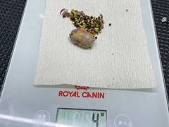 -爱侣宠医·鹦鹉专科·小型哺乳类·异宠专科(灵石路店)