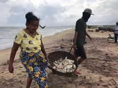 -尼甘布海鲜市场