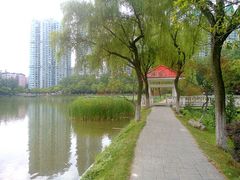 android_upload_pic-西北湖绿化广场