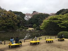 -东京国立博物馆