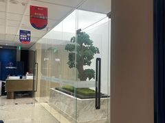 -柏乐口腔医院·舒适化无痛种植牙中心(东盟商务区院)