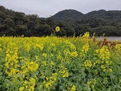 -广州市石门国家森林公园