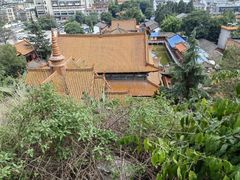 -昆明动物园