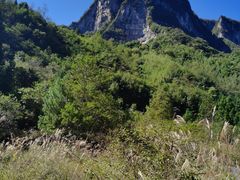 -鹿院坪生态旅游景区