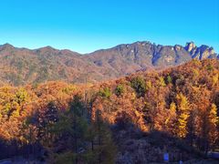-洛阳白云山景区