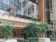 -上海外滩茂悦大酒店