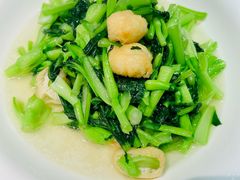 -東大方(安吉灵芝店)