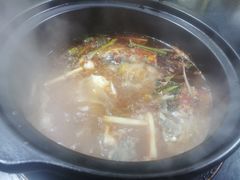 -老杨砂锅鱼庄
