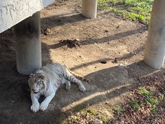 -哈尔滨北方森林动物园