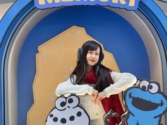 -中集金地美兰城
