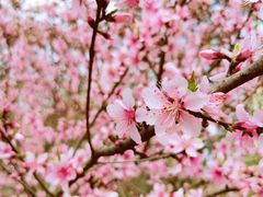-白塘生态植物园