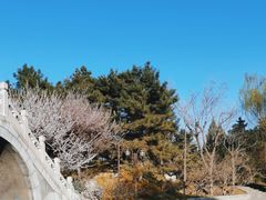 -团结湖公园
