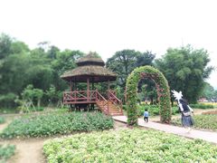 -广州市石门国家森林公园