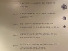 -青藤茶馆(凤起路店)