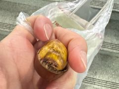 -杨记板栗(天虹总店)