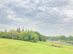 -上海佘山世茂艾美酒店
