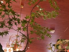 -风渡嘉荷西餐厅 Windy City(西三旗金隅店)