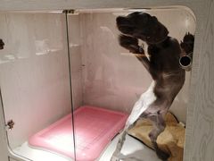 -乐宠宠物店(世纪金源店)