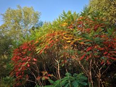 -长春市南湖公园