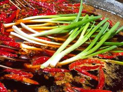 红锅-六公里老火锅(总店)
