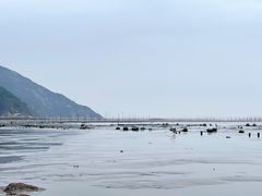 -北岐滩涂