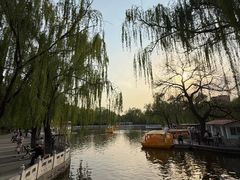 -丰台花园