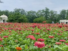 -沈阳植物园