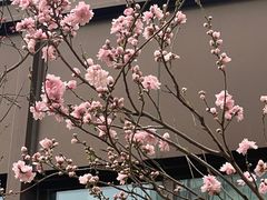 -山东省千佛山医院