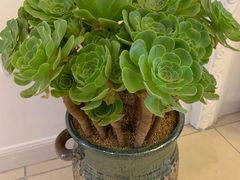 -梵舍·沙浴养生SPA