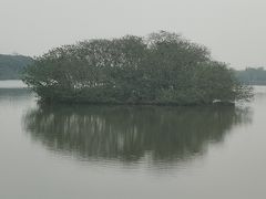 -海珠湖公园