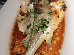 -维园悦谱·海派家常菜(乌鲁木齐南路店)