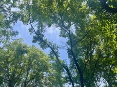-北陵公园