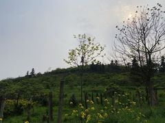 -亮河湾山庄