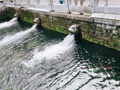 -环城公园
